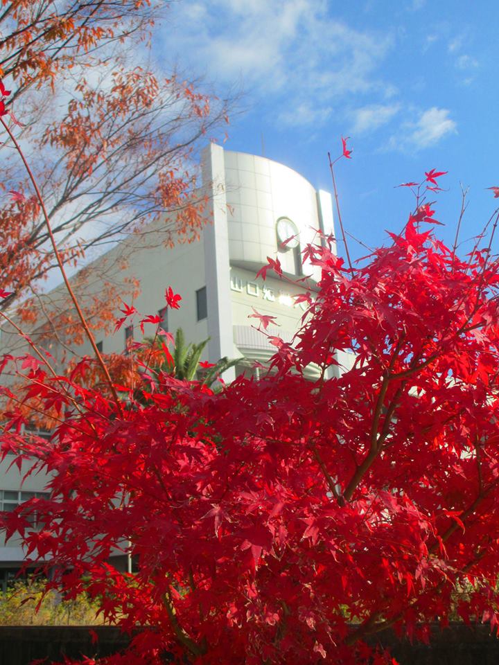 関連校・姉妹校